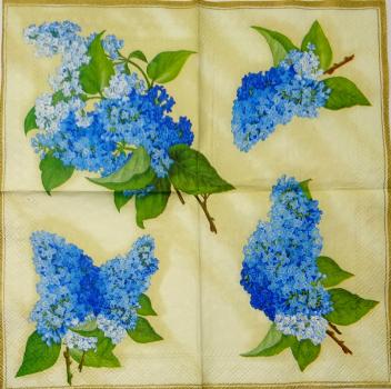 015 Hortensien - 3-lagig (blau/creme)